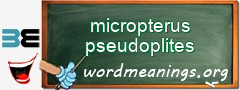 WordMeaning blackboard for micropterus pseudoplites